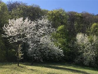 Bild zu Stadtwanderweg 6