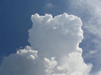 Bild zu Maria Gugging